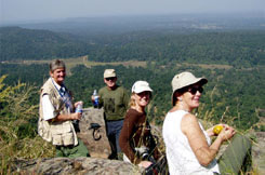 grassy meadow valley