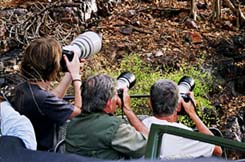 trips photographic tours