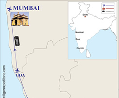 kerala back water tour