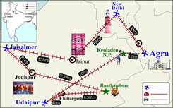 palace on wheel trains tours