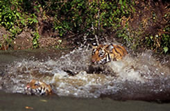 unesco heritage site