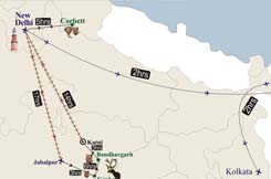 BETR(BEAR,ELEPHANT,TIGER,RHINO) Trip Map